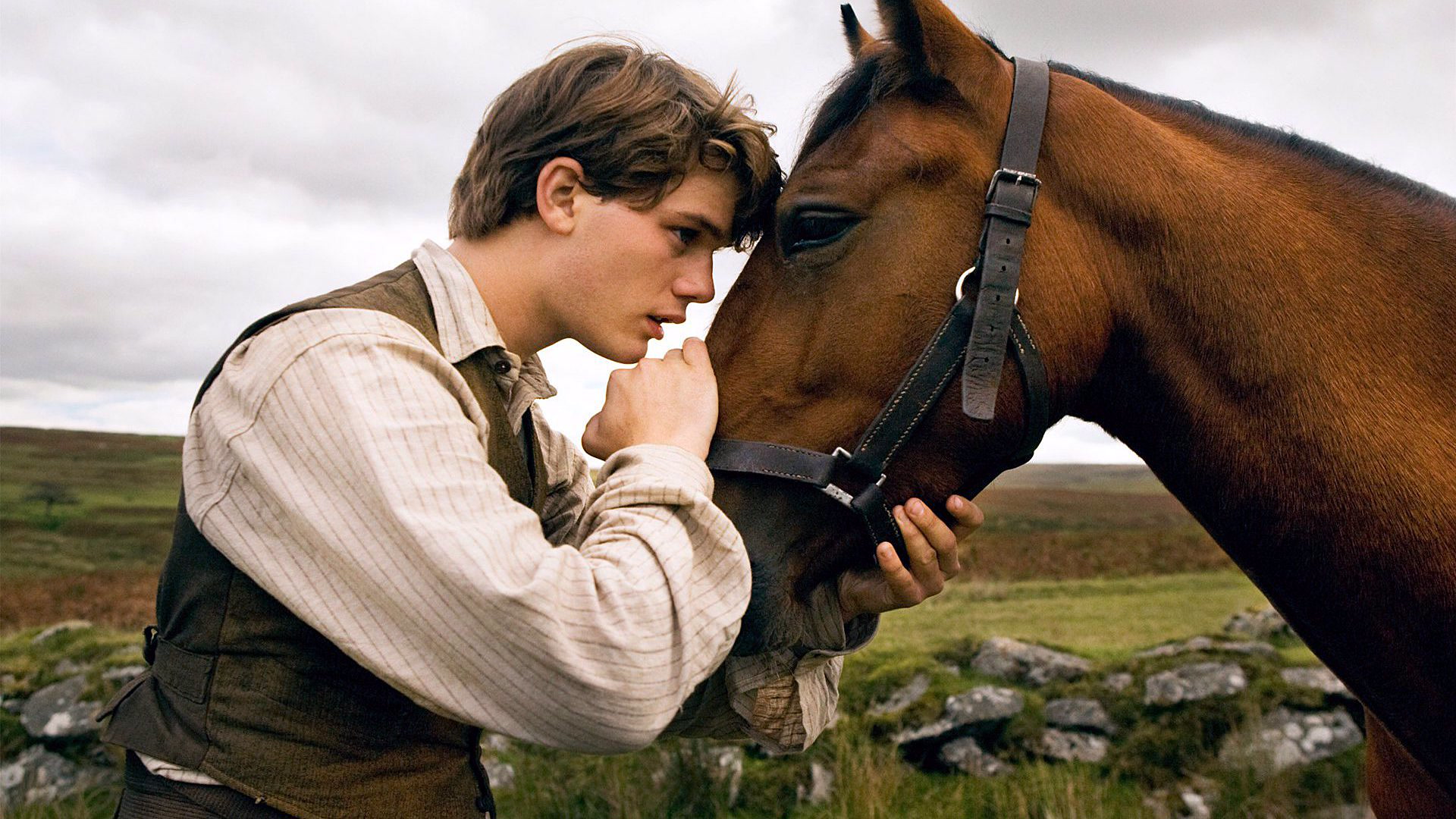Το Αλογο του Πολέμου | War Horse
