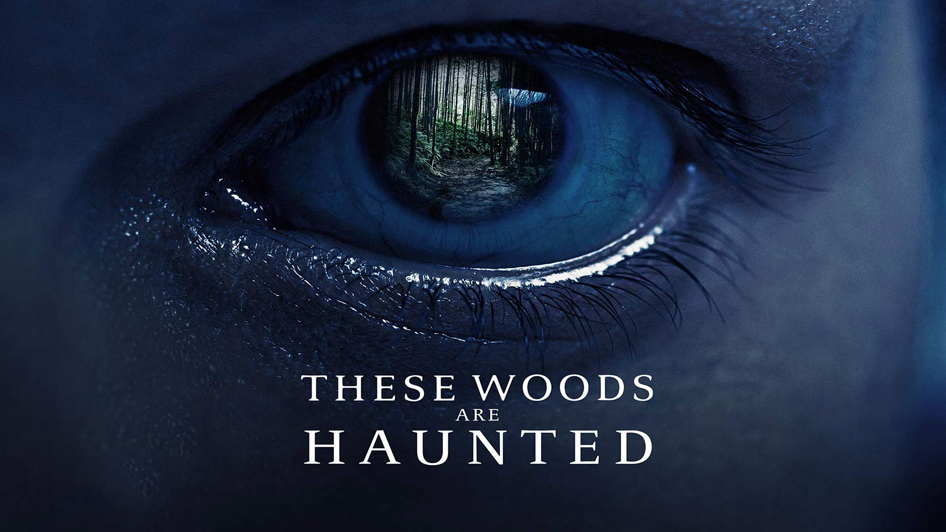 Στοιχειωμένα Δάση | These Woods Are Haunted