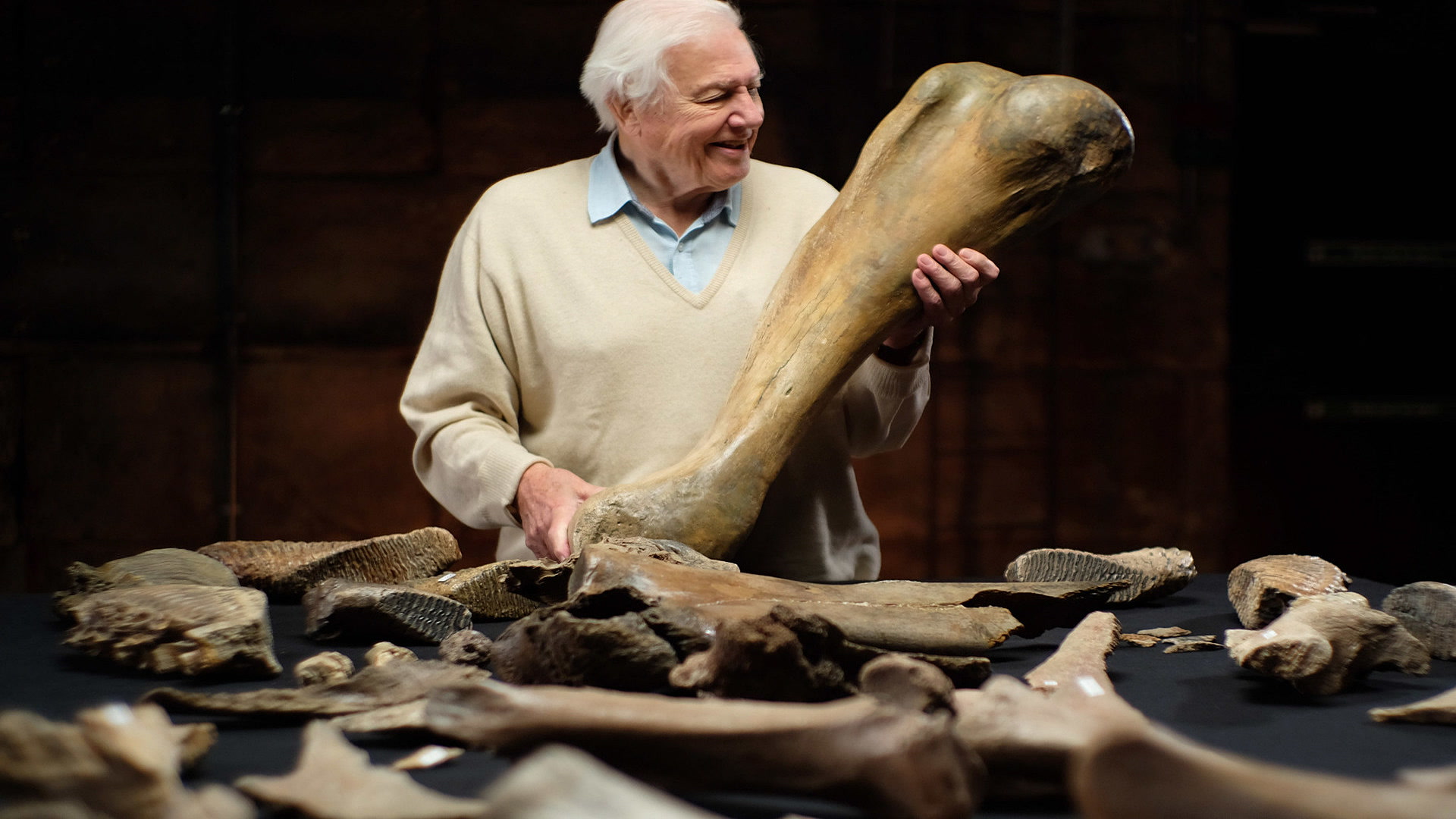 Ατένμπορο και Νεκροταφείο Μαμούθ | Attenborough and the Mammoth Graveyard