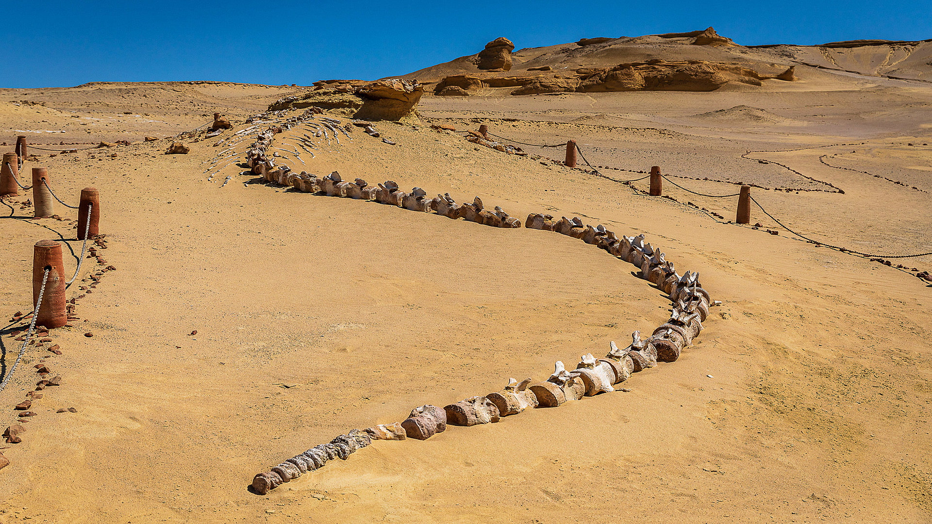 Αίγυπτος: Μυστική Κοιλάδα Φαλαινών | Egypt's Secret Valley of the Whales