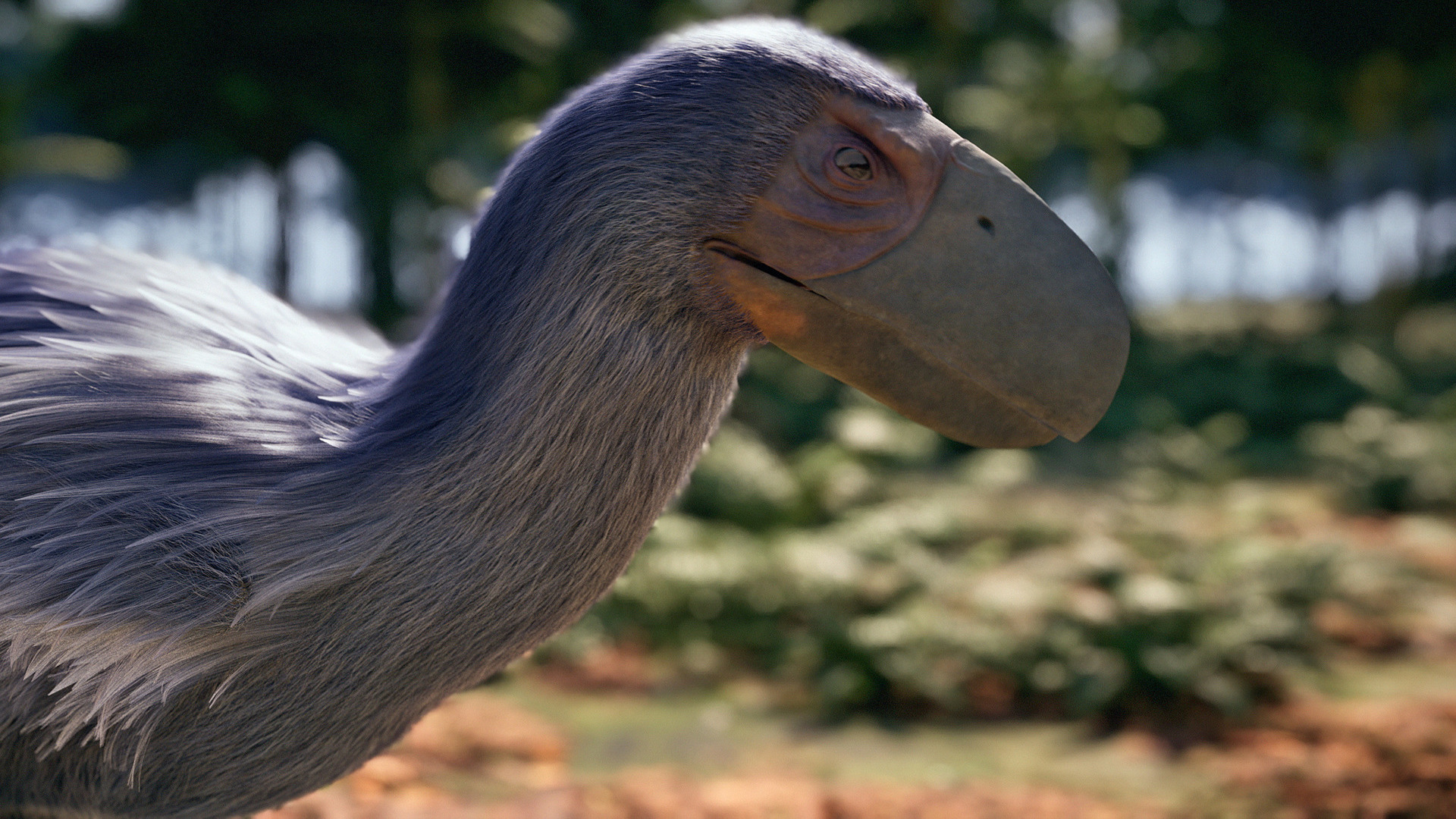 Η Ανοδος των Πτηνών | The Rise of the Birds
