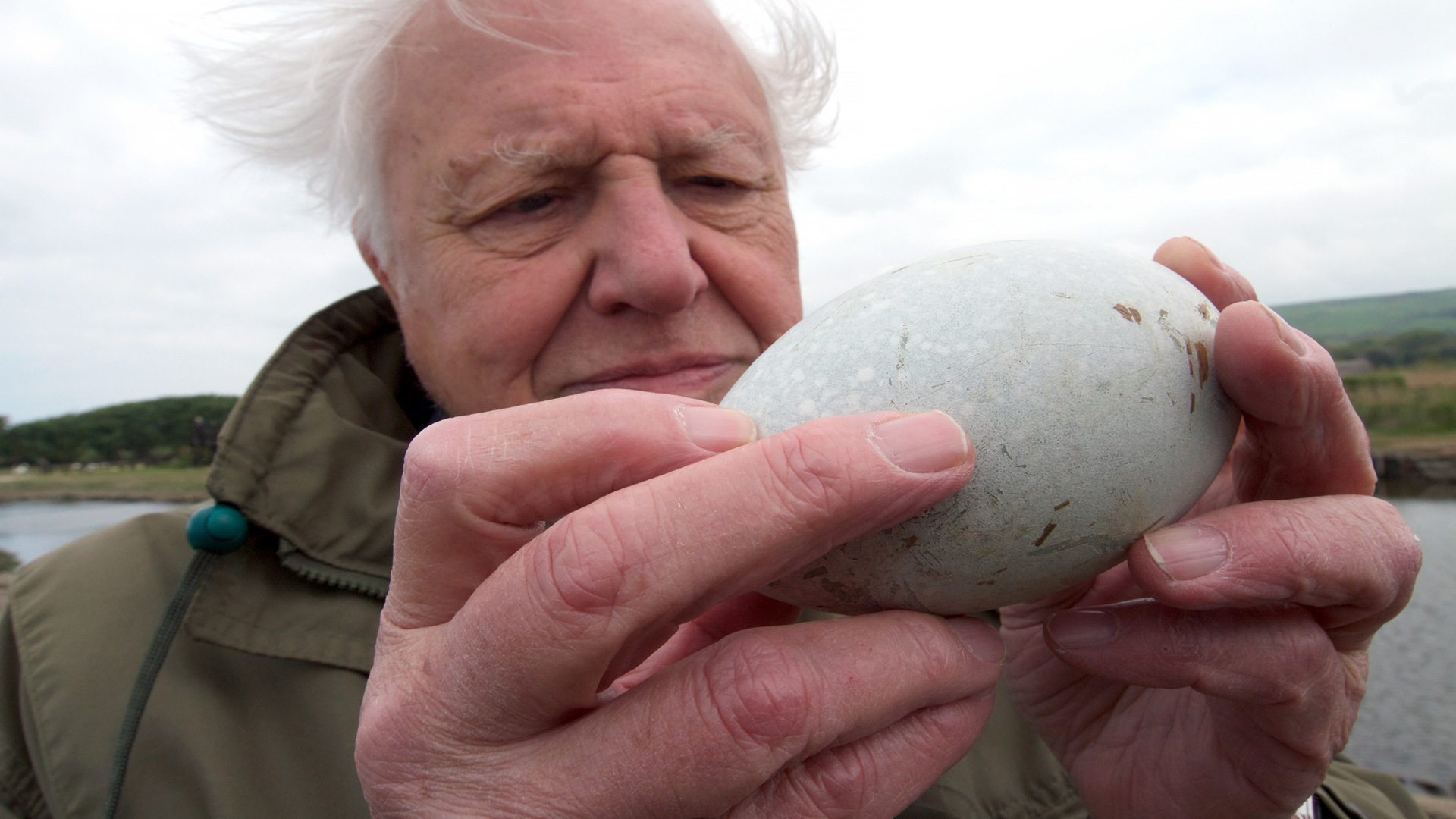 Ο Ατένμπορο και το Θαύμα των Αυγών | Attenborough's Wonder of Eggs
