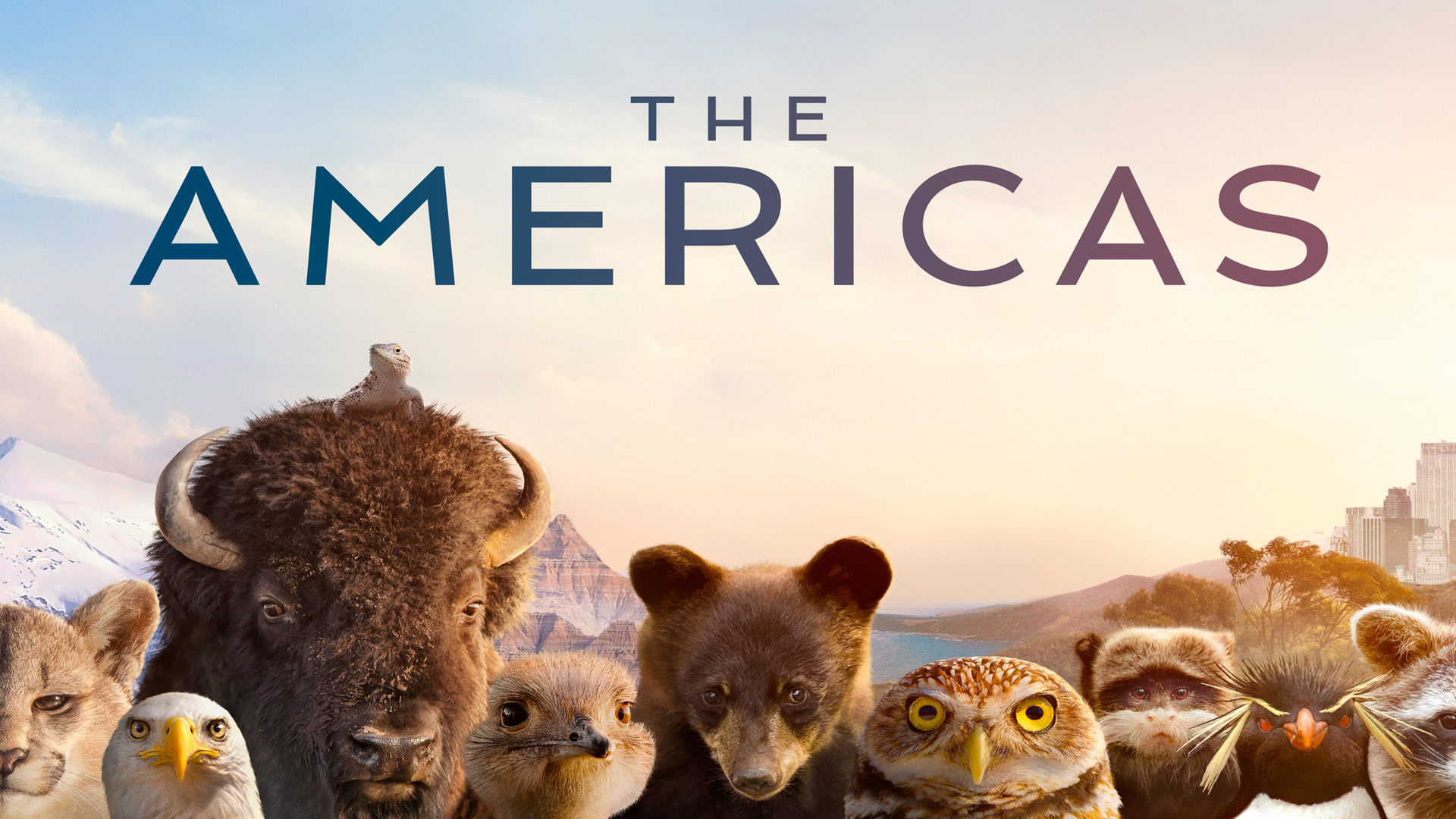 The Americas
