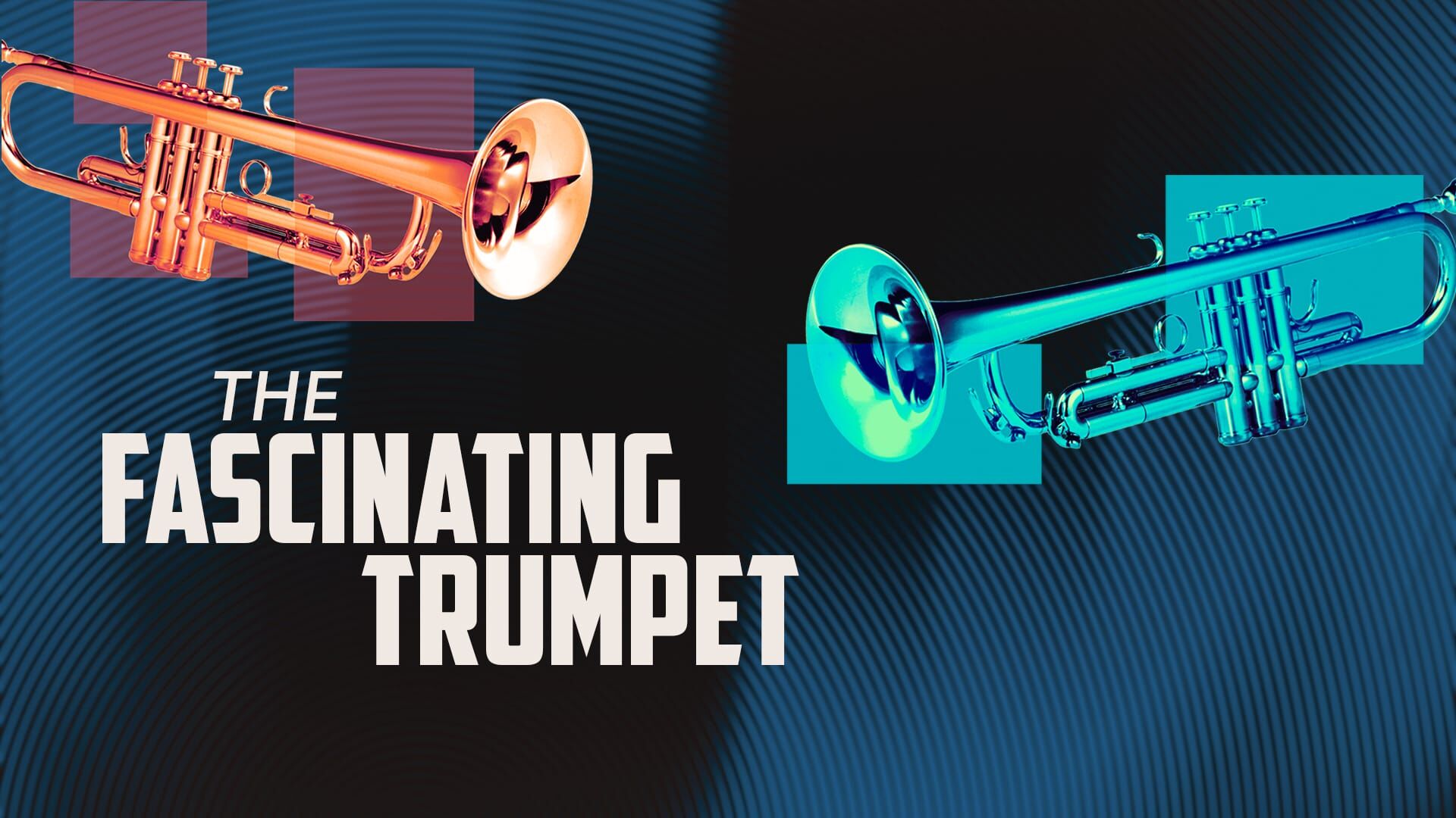The Fascinating Trumpet
