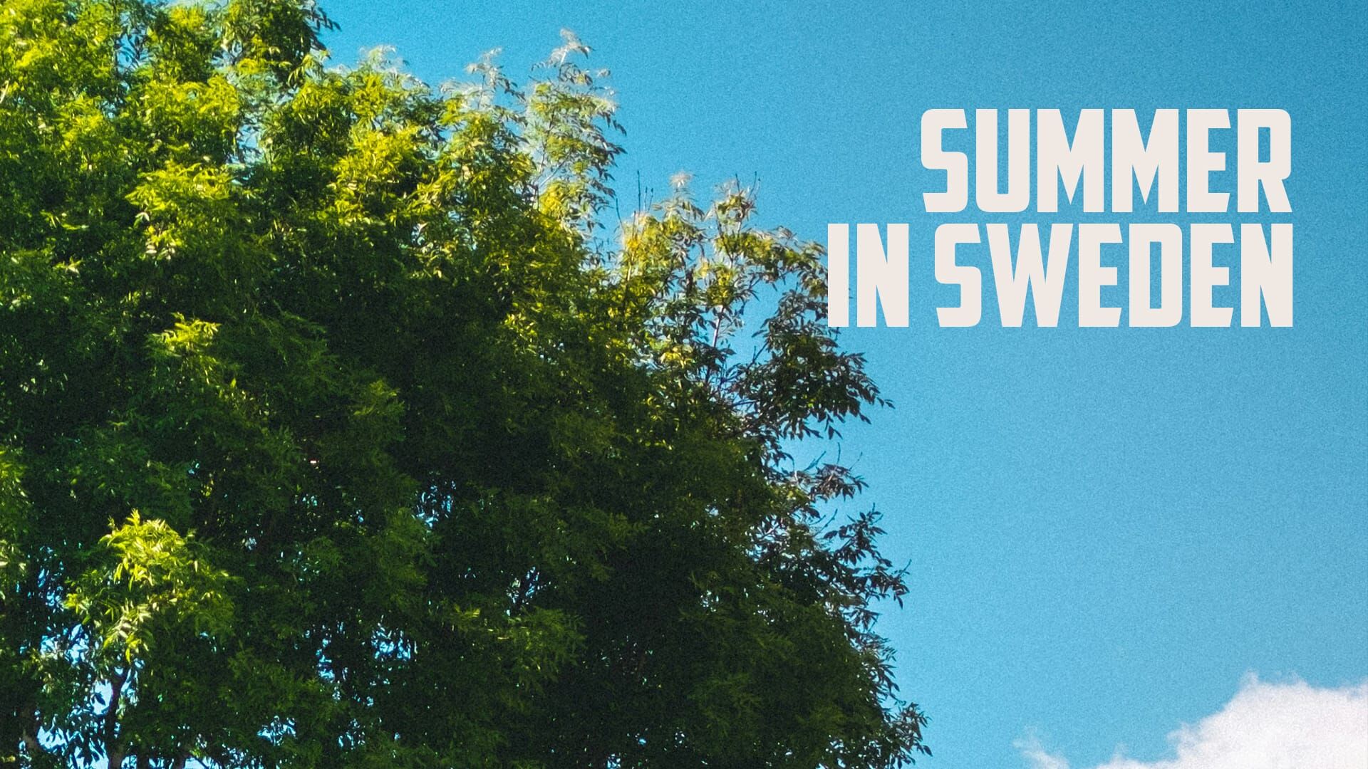 Summer In Sweden