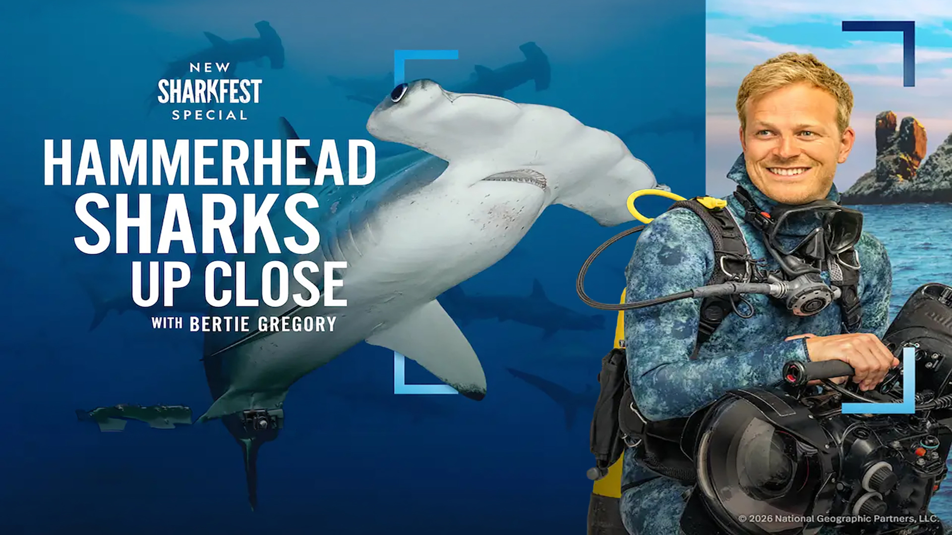 Σφυροκέφαλοι Καρχαρίες από Κοντά | Hammerhead Sharks Up Close