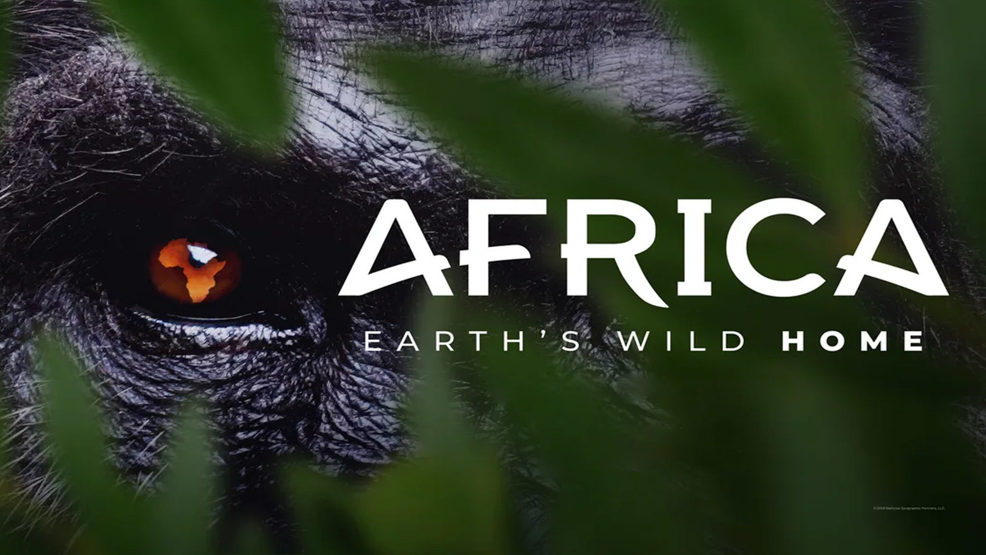 Αφρική: Το Αγριο Σπίτι της Γης | Africa: Earth's Wild Home